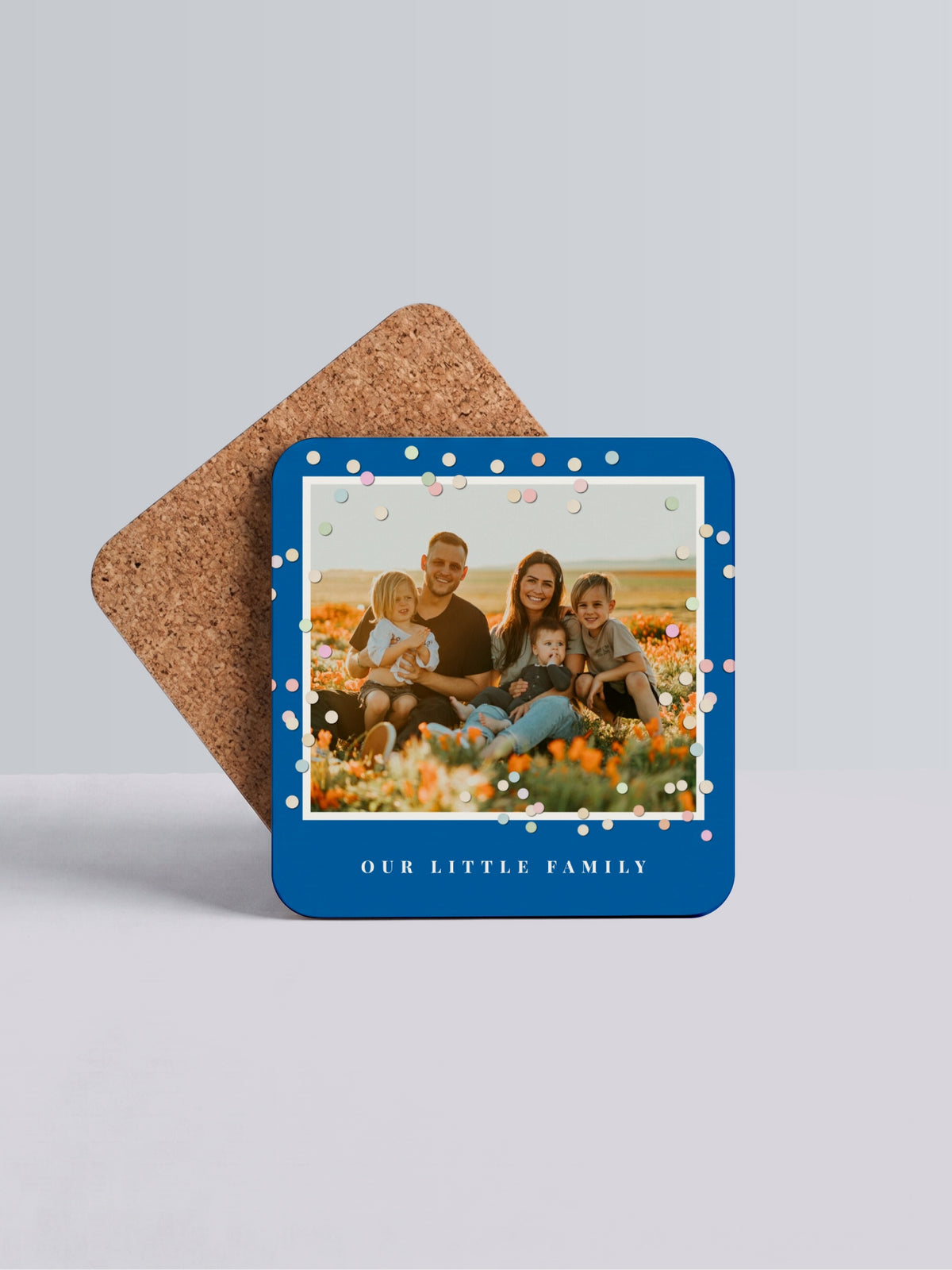 Family Adventure Coaster