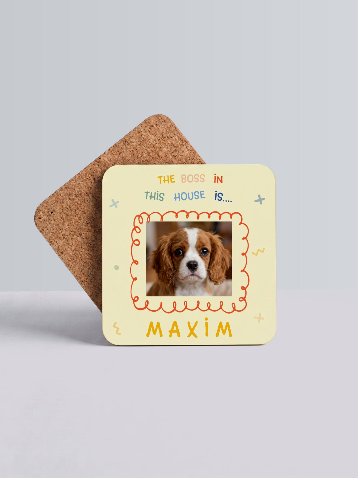 Pet Boss Coaster