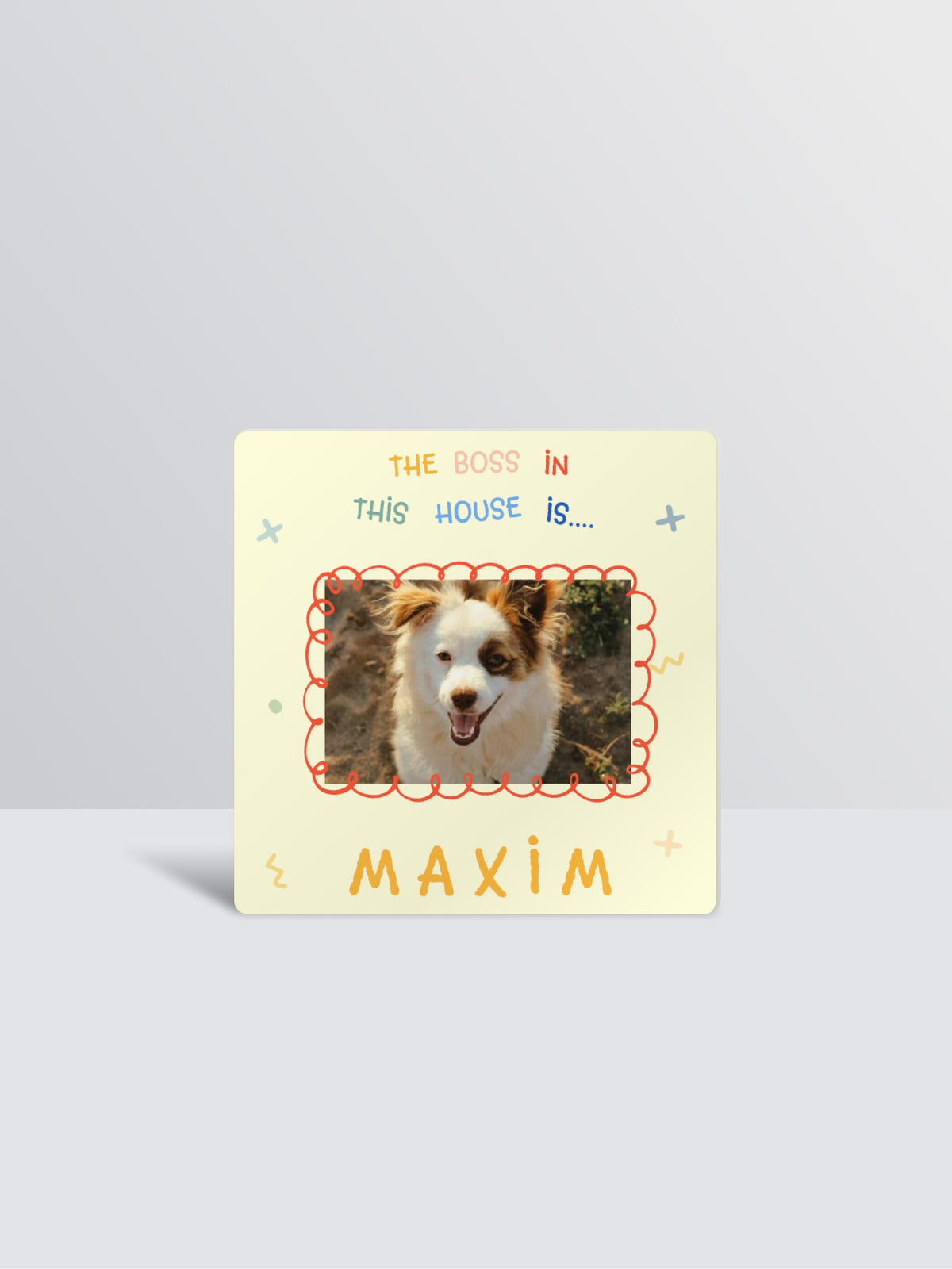 Pet Boss Photo Magnet