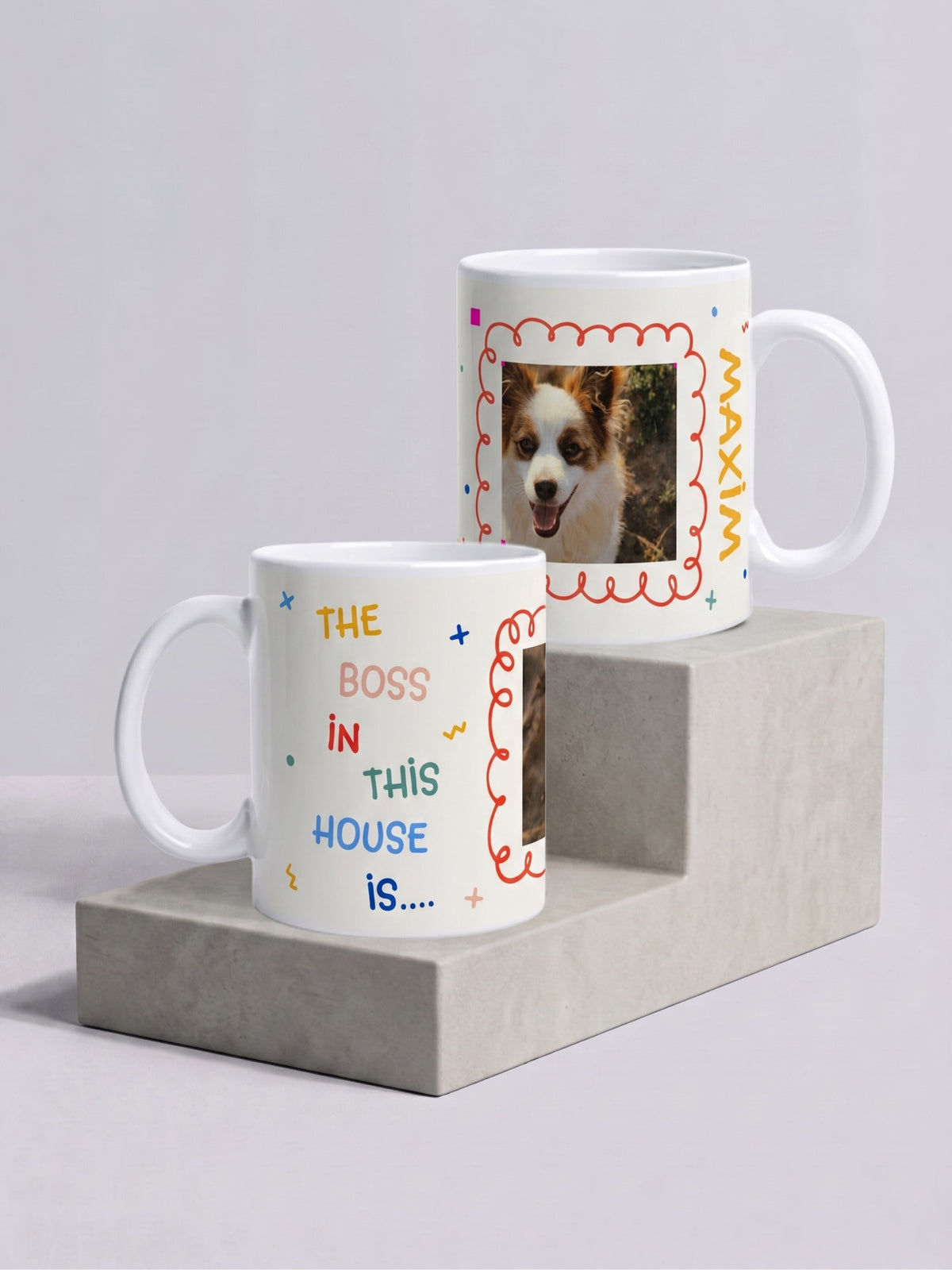 Pet Boss Photo Mug